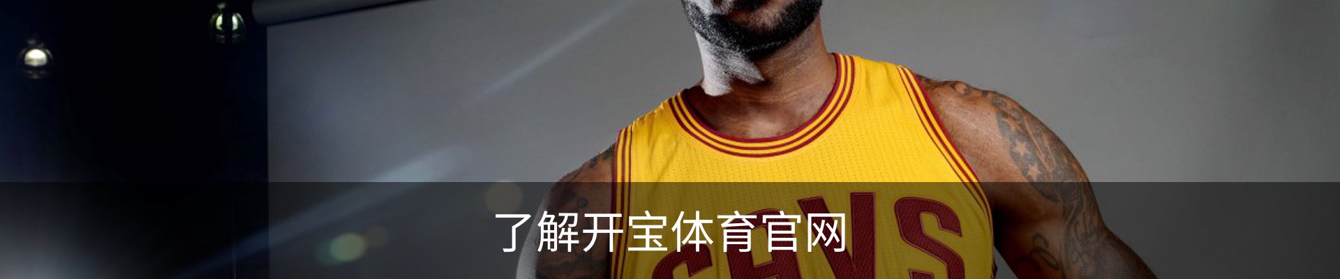 了解开宝体育官网